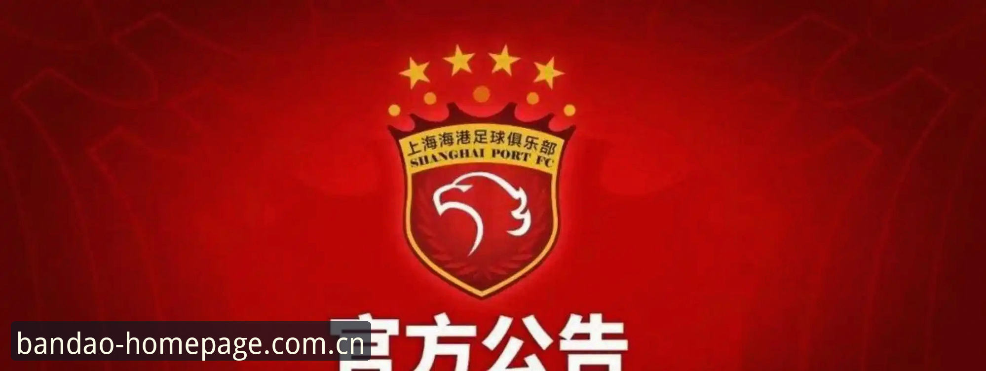 足协第三批禁足名单曝光，半岛官网平台深度解读行业整顿最新进展